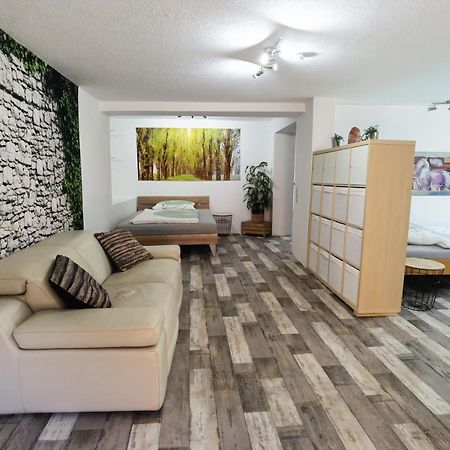 Ferienwohnung - Appartement "Painted Horse" Im Herzen Des Pfaelzer Waldes Reichenbach-Steegen Zewnętrze zdjęcie