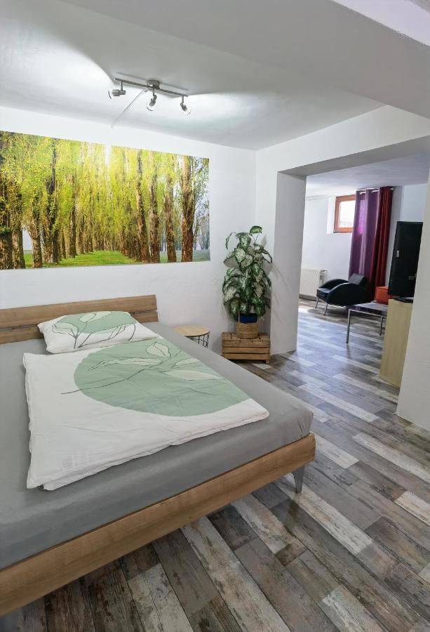Ferienwohnung - Appartement "Painted Horse" Im Herzen Des Pfaelzer Waldes Reichenbach-Steegen Zewnętrze zdjęcie