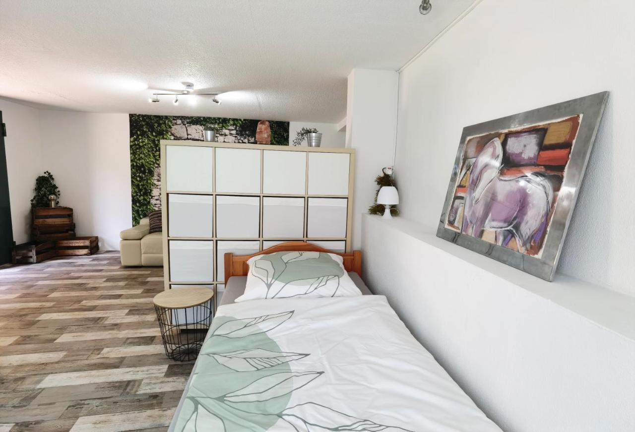 Ferienwohnung - Appartement "Painted Horse" Im Herzen Des Pfaelzer Waldes Reichenbach-Steegen Zewnętrze zdjęcie