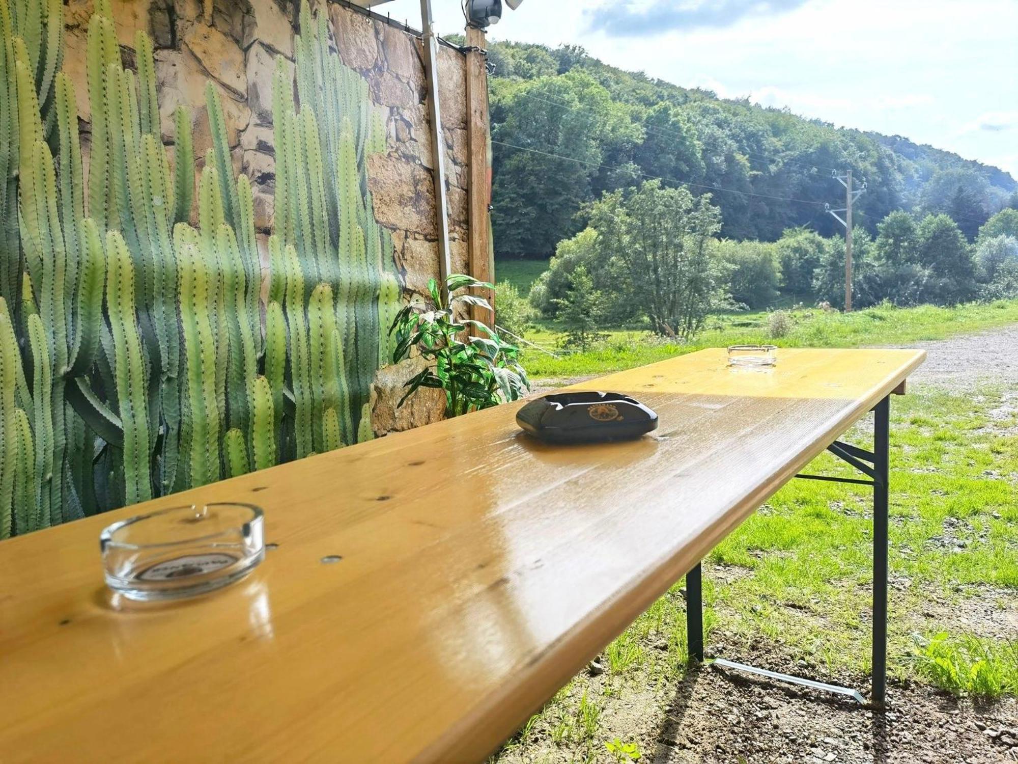 Ferienwohnung - Appartement "Painted Horse" Im Herzen Des Pfaelzer Waldes Reichenbach-Steegen Zewnętrze zdjęcie